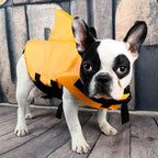Dog Life Jacket – Shark Style Pet Life Vest for Swimming & Boating