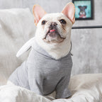 Dog Sweater for Spring & Autumn – Soft Pet Clothing for Small to Large Dogs