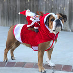 Christmas Dog Costume – Santa Claus Riding Reindeer Outfit for Dogs