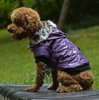 Winter Dog Coat with Fur Collar – Warm Pet Jacket for Autumn & Winter