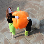 Halloween Pumpkin Dog Costume – Soft Velvet Pet Outfit for Small & Medium Dogs