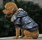 Winter Dog Coat with Fur Collar – Warm Pet Jacket for Autumn & Winter