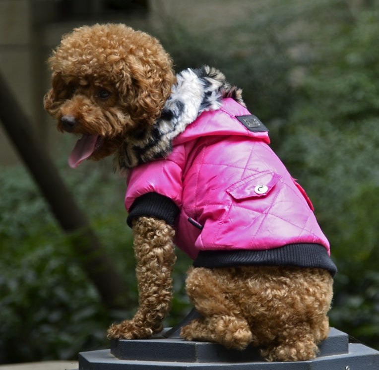 Winter Dog Coat with Fur Collar – Warm Pet Jacket for Autumn & Winter