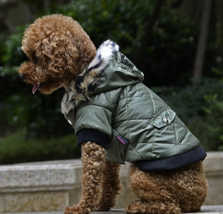Winter Dog Coat with Fur Collar – Warm Pet Jacket for Autumn & Winter
