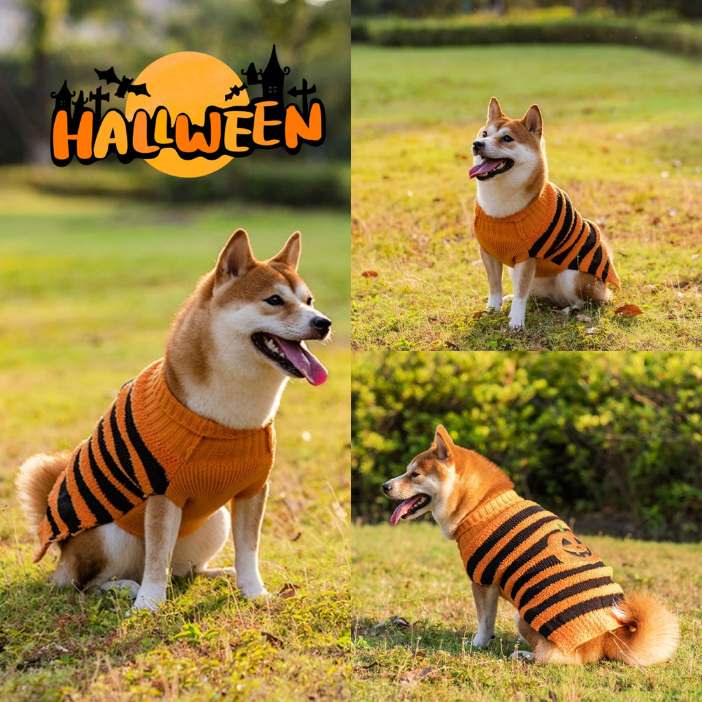 Halloween Dog Sweater – Warm Teddy Pet Costume for Small Dogs (XS–XL)