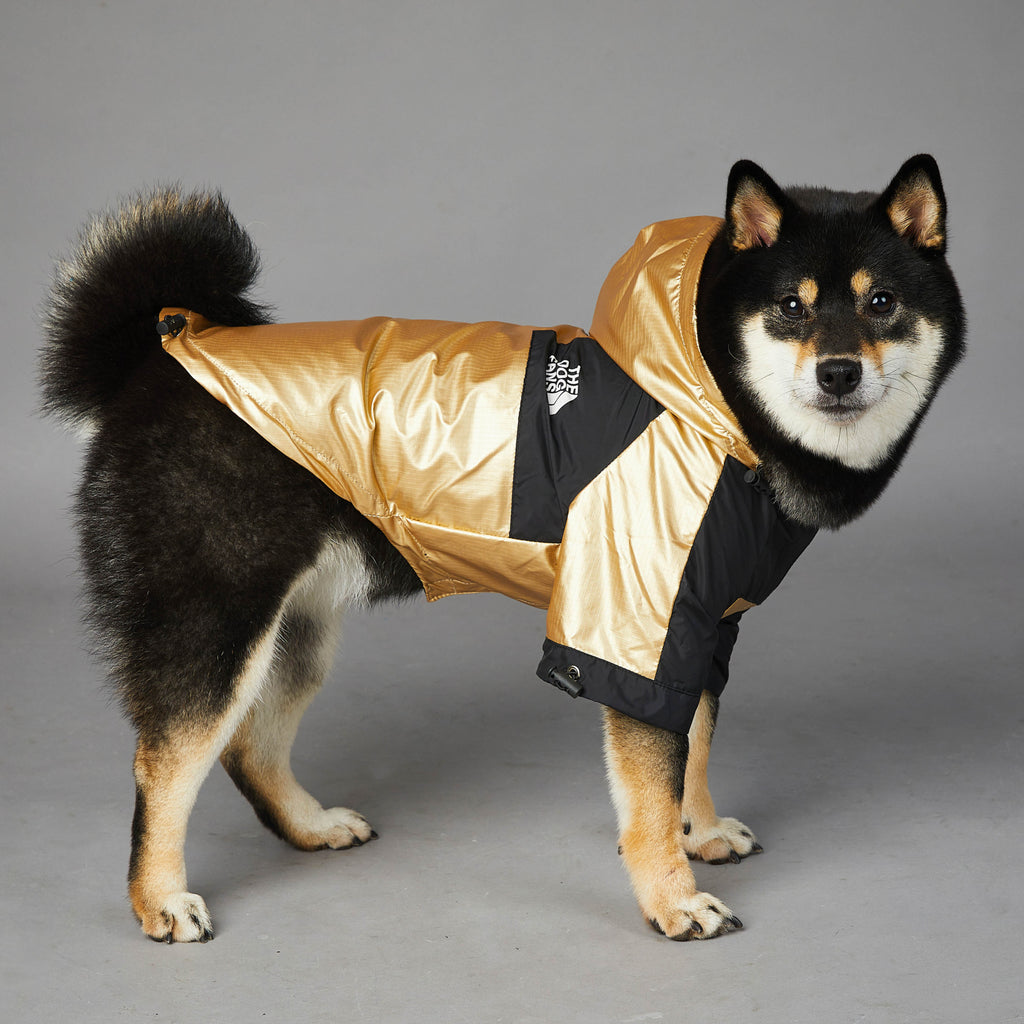 Large Dog Raincoat – Waterproof Pet Jacket for Small to Extra-Large Dogs (S–5XL)