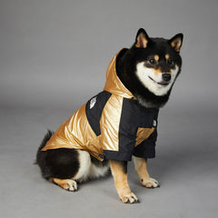 Dog Large Dog Raincoat Pet Jacket thumbnail 5
