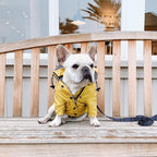 Waterproof Dog Raincoat – Windproof Polyester Pet Jacket for Small to Large Dogs