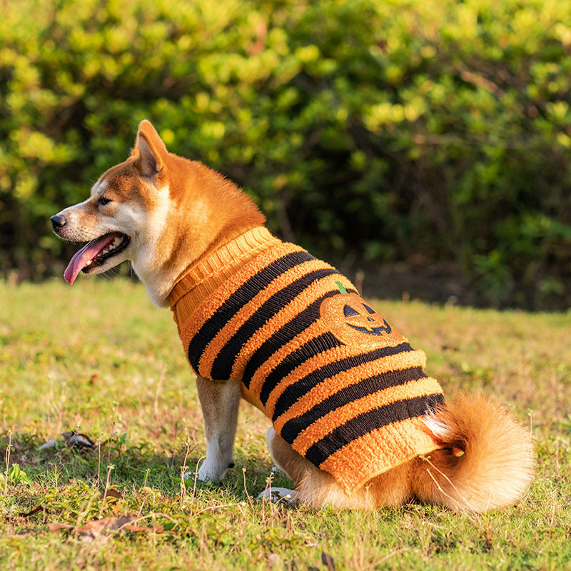 Halloween Dog Sweater – Warm Teddy Pet Costume for Small Dogs (XS–XL)