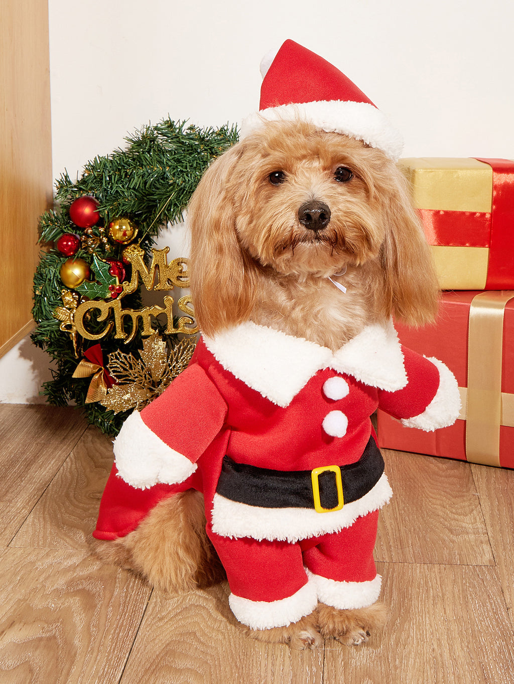 Christmas Dog Costume – Cute Holiday Outfit with Hat for Small Dogs